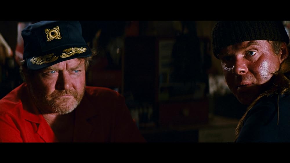 レイザーバックの画像