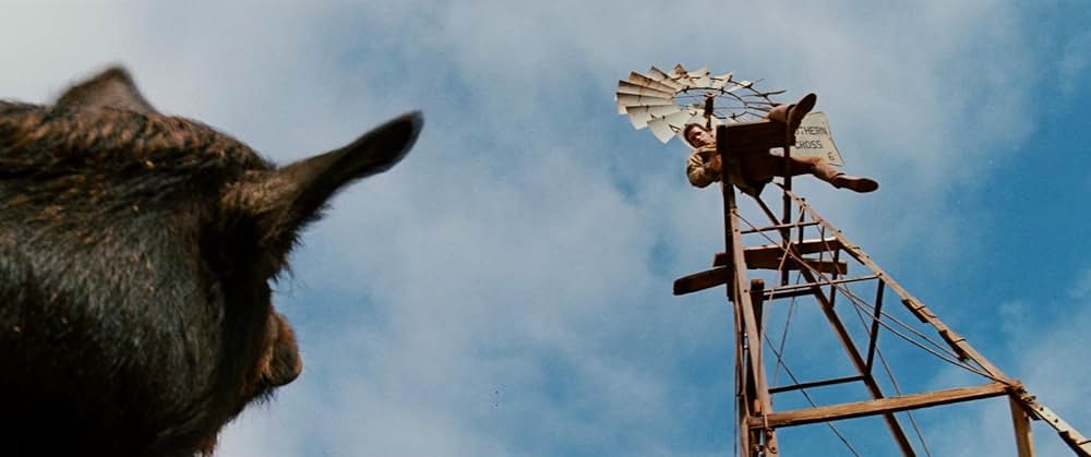 レイザーバックの画像