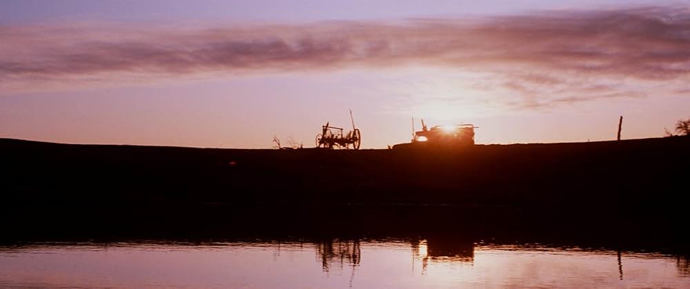 レイザーバックの画像