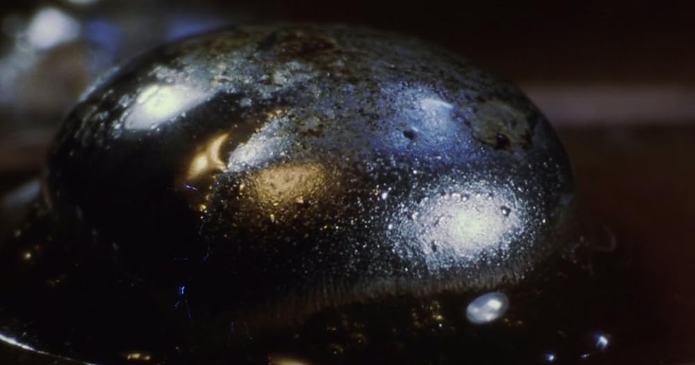 パルス・ショックの画像