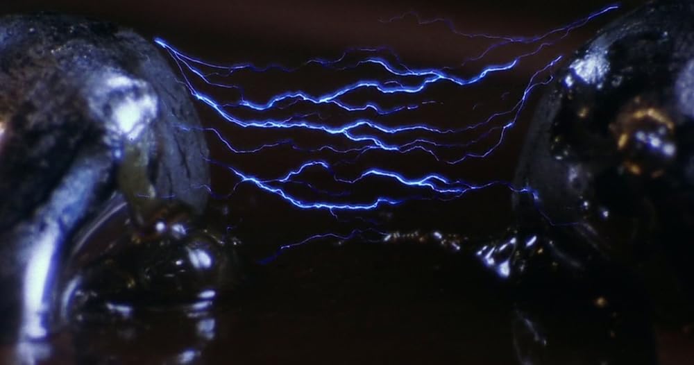 パルス・ショックの画像