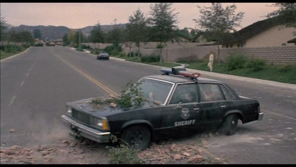 ドライブアカデミー／全員免停の画像