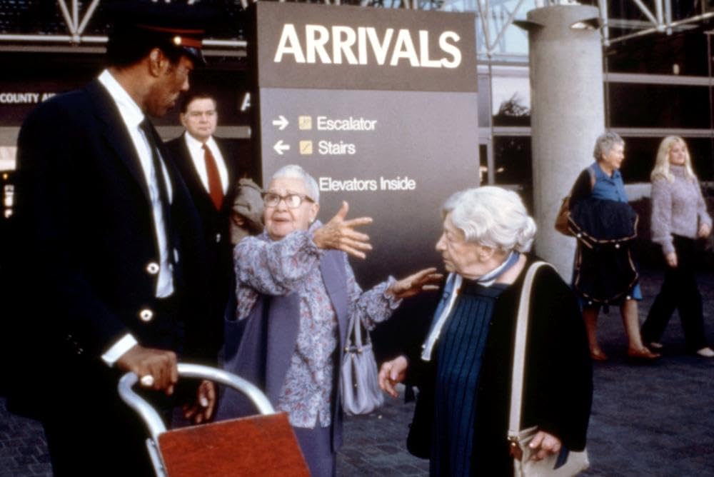 ドライブアカデミー／全員免停の画像