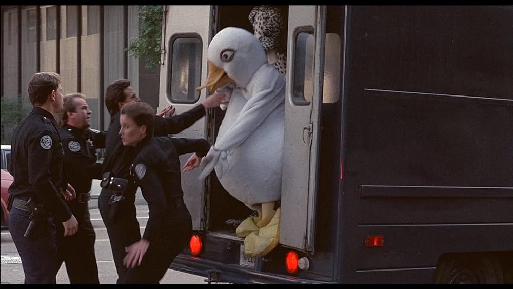 ドライブアカデミー／全員免停の画像