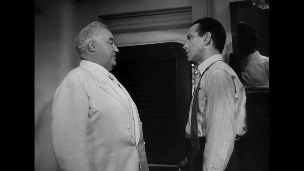 パナマの死角の画像