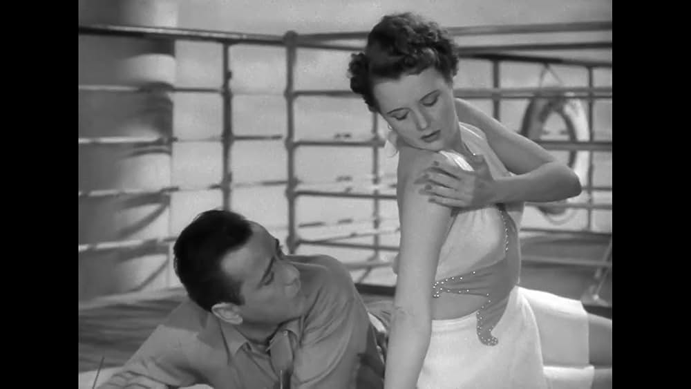 パナマの死角の画像