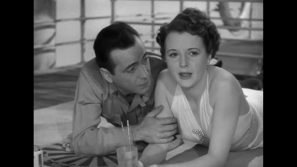 パナマの死角の画像