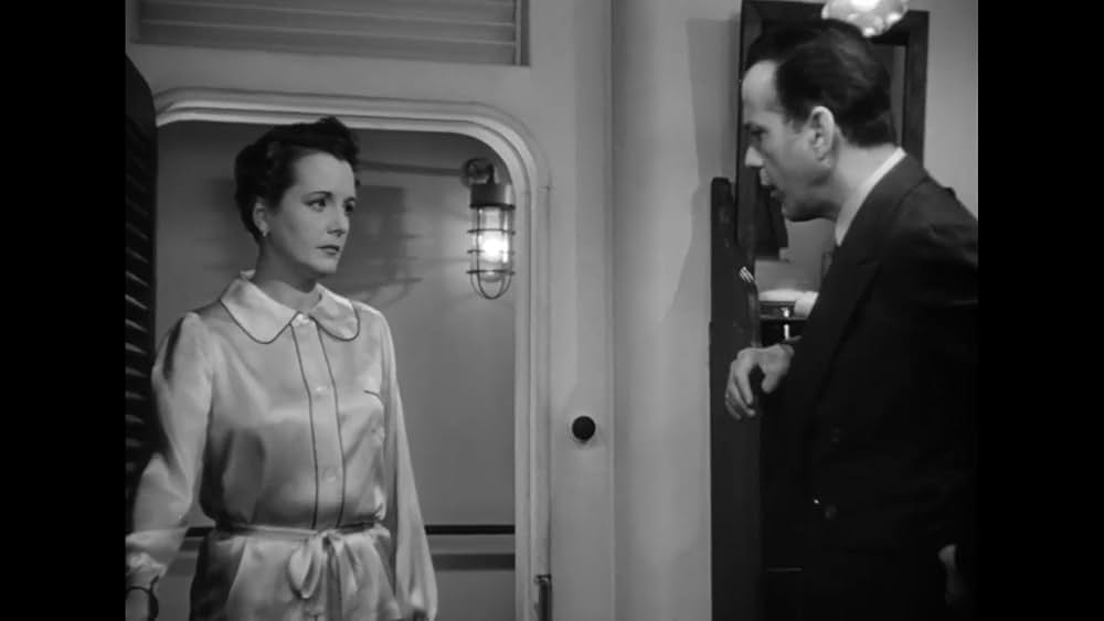 パナマの死角の画像