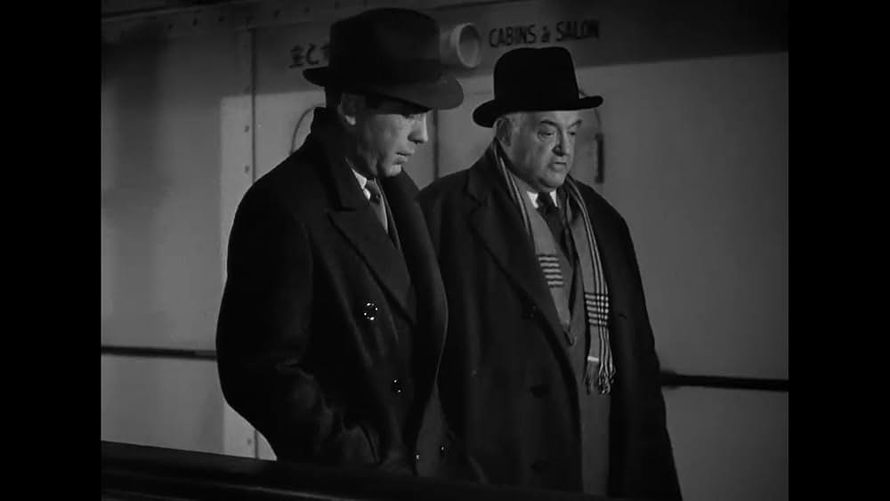 パナマの死角の画像