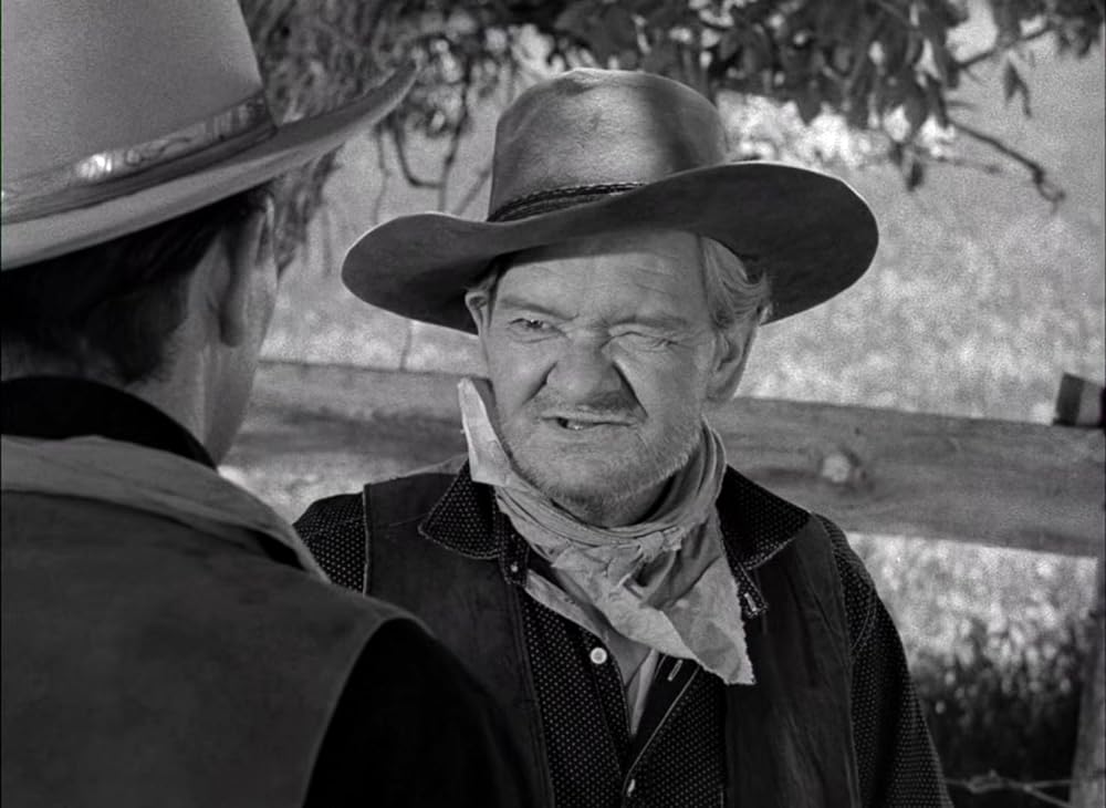 拳銃無宿の画像