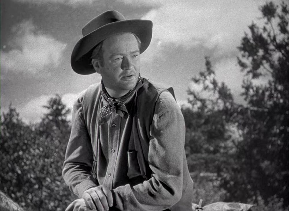 拳銃無宿の画像