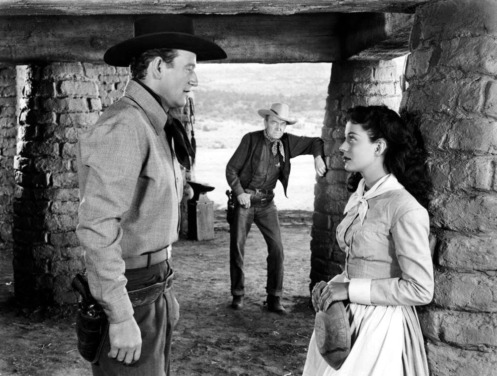 拳銃無宿の画像