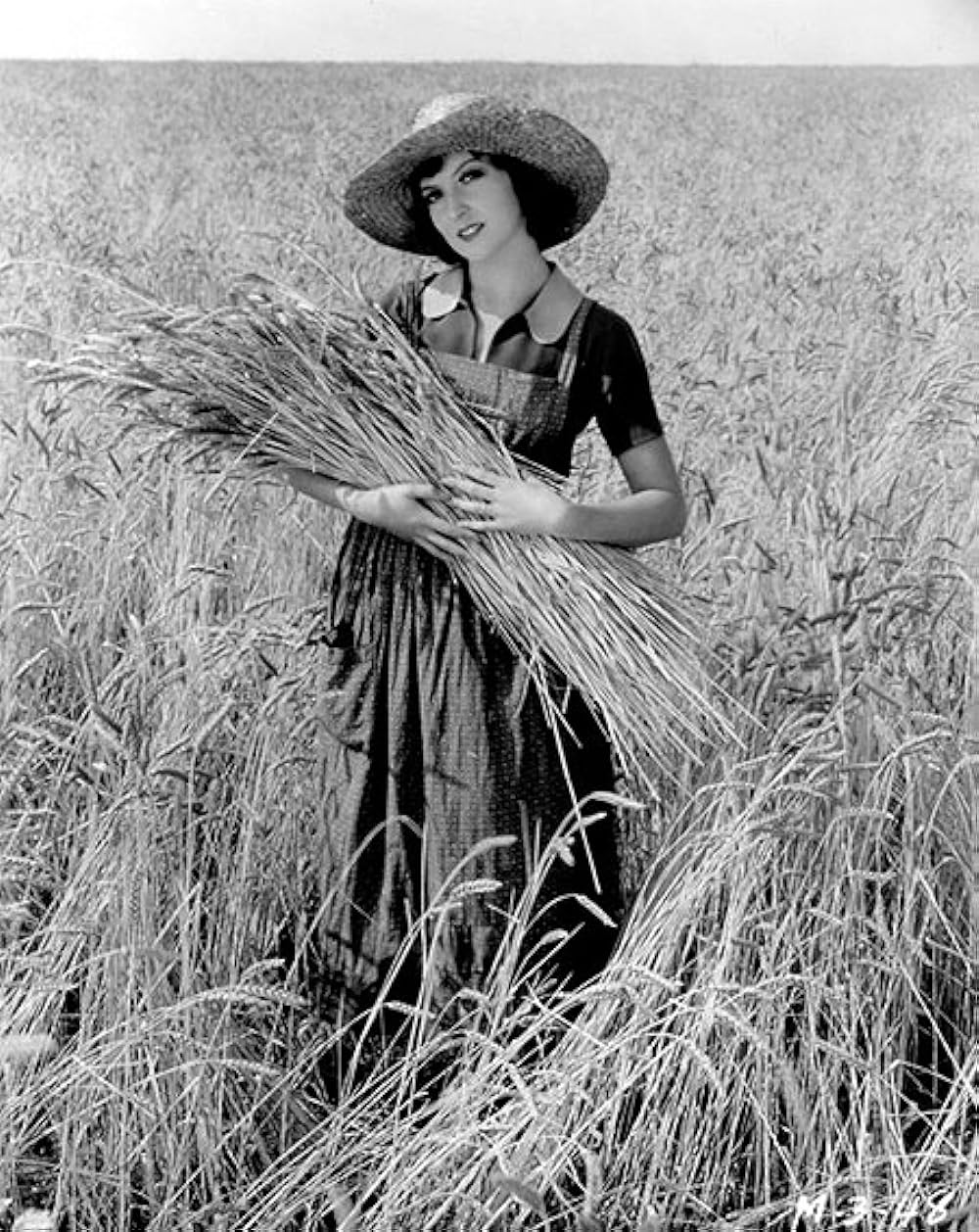 都会の女の画像