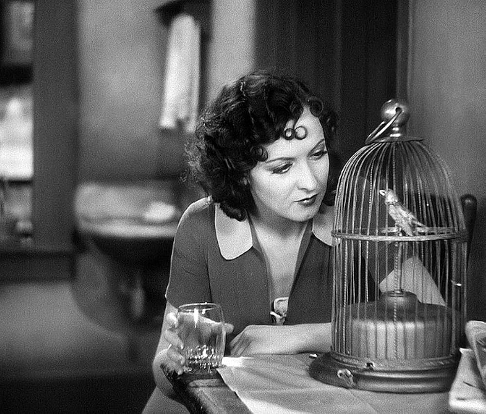 都会の女の画像