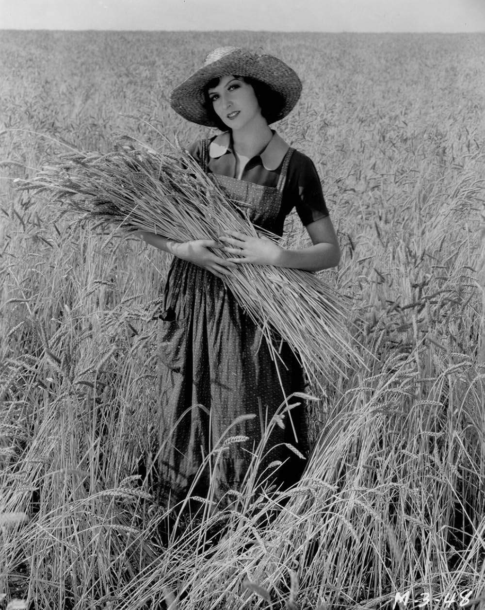 都会の女の画像