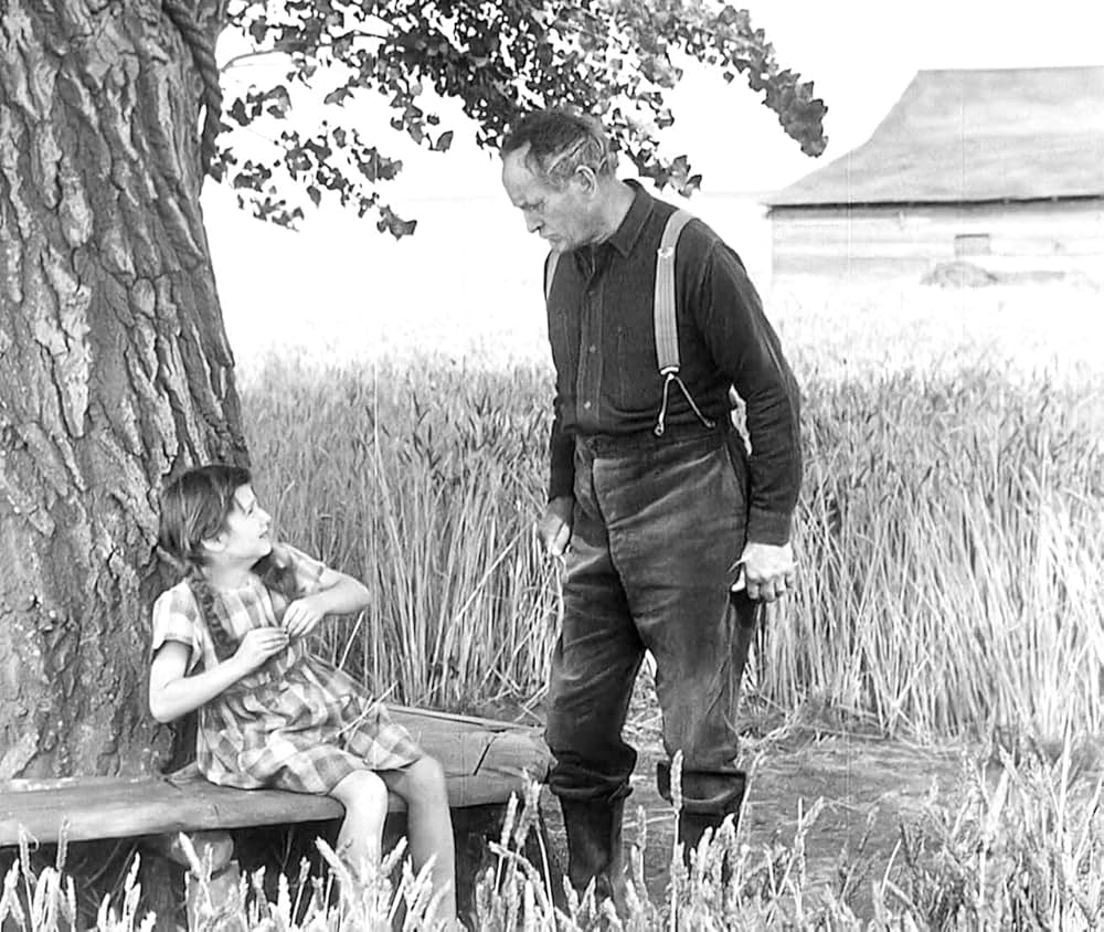 都会の女の画像