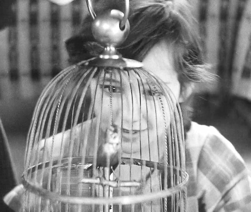 都会の女の画像