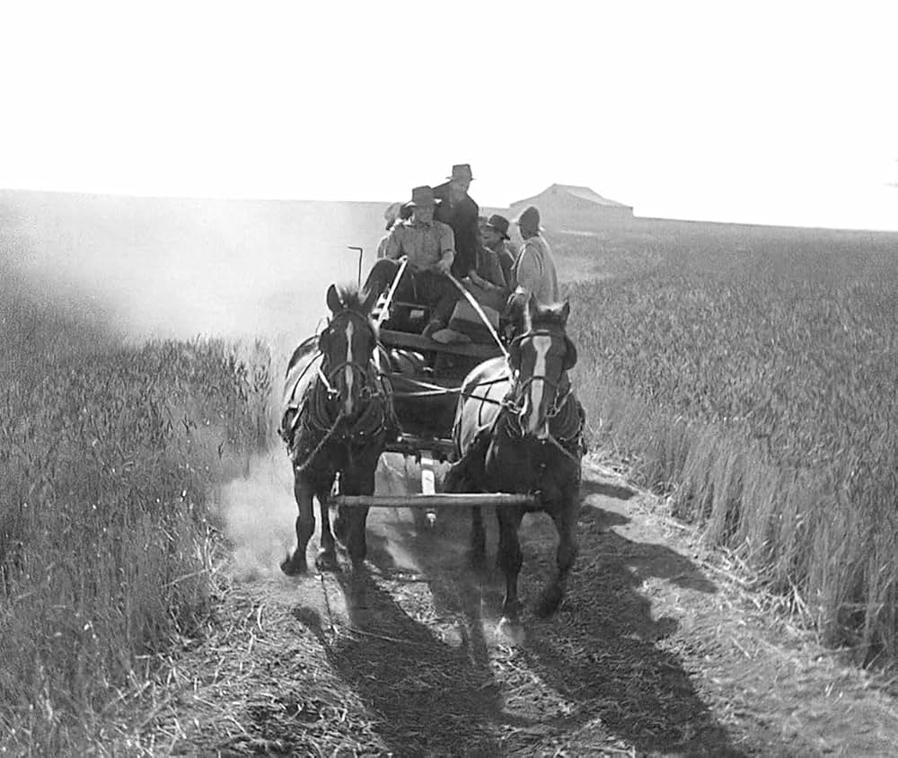 都会の女の画像