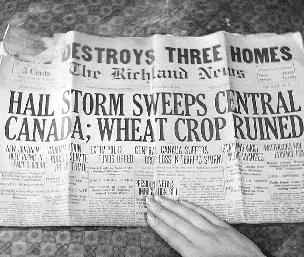 都会の女の画像