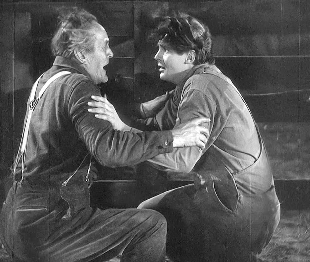 都会の女の画像