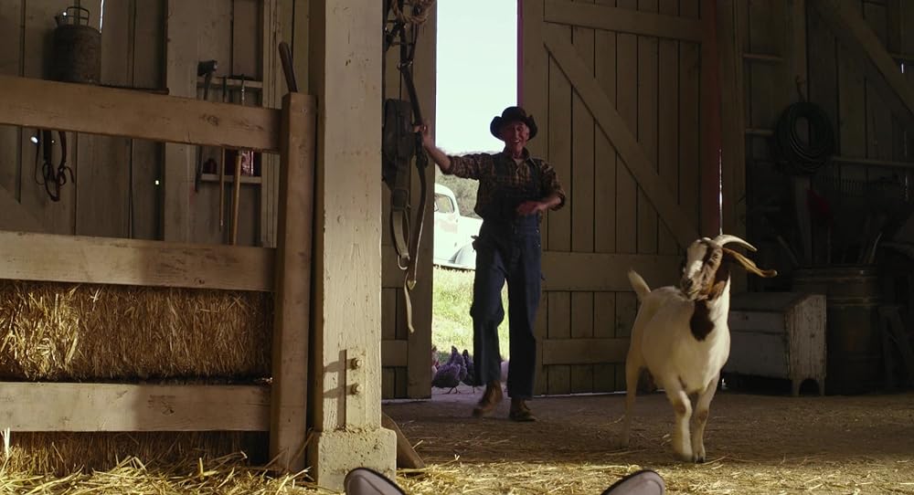 ピーウィーのビッグ・ホリデーの画像