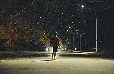 「マティアス＆マキシム」グザビエ・ドランの画像