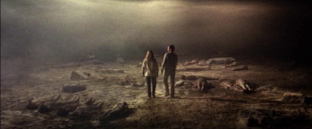 フルチ・フォー・フェイクの画像