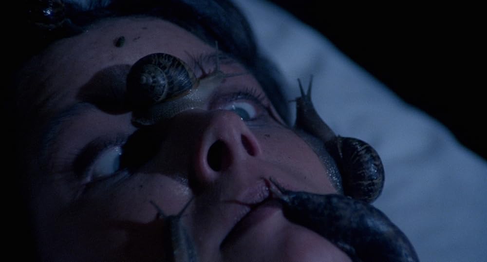 フルチ・フォー・フェイクの画像