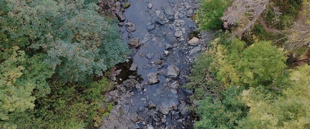 キル・ゲームの画像