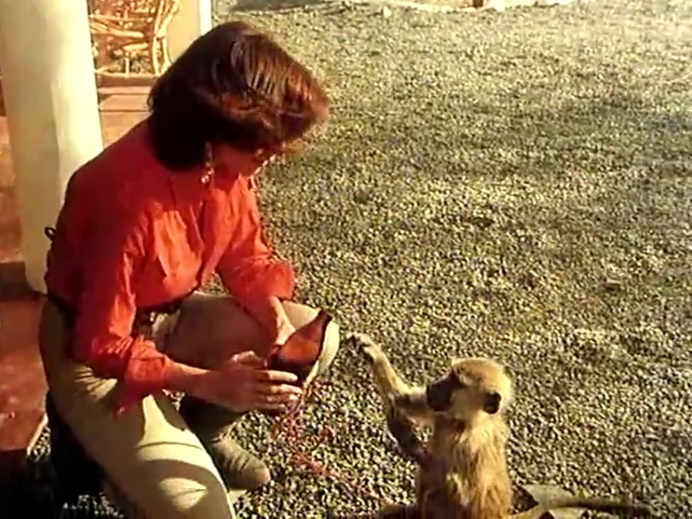 キリマンジャロの悪魔の画像