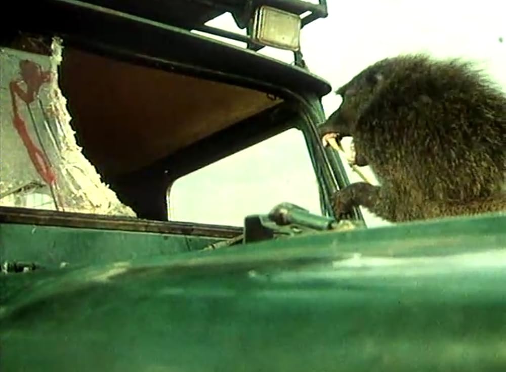 キリマンジャロの悪魔の画像