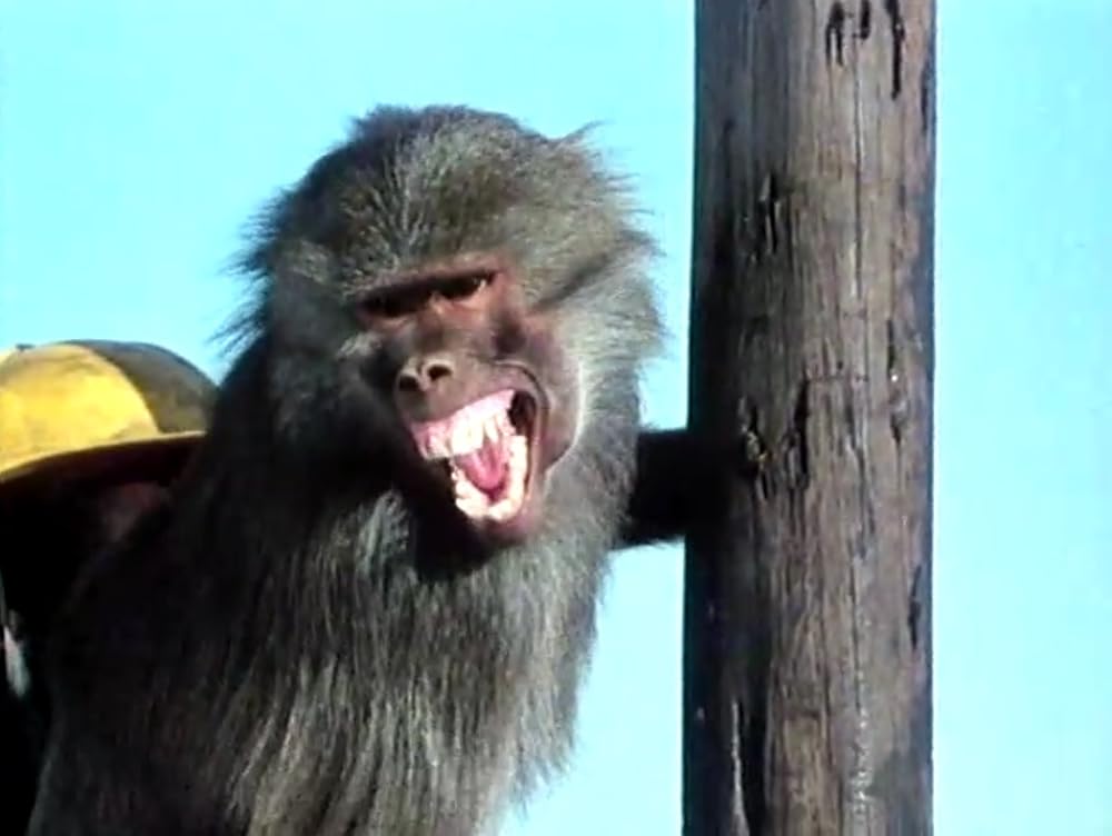 キリマンジャロの悪魔の画像