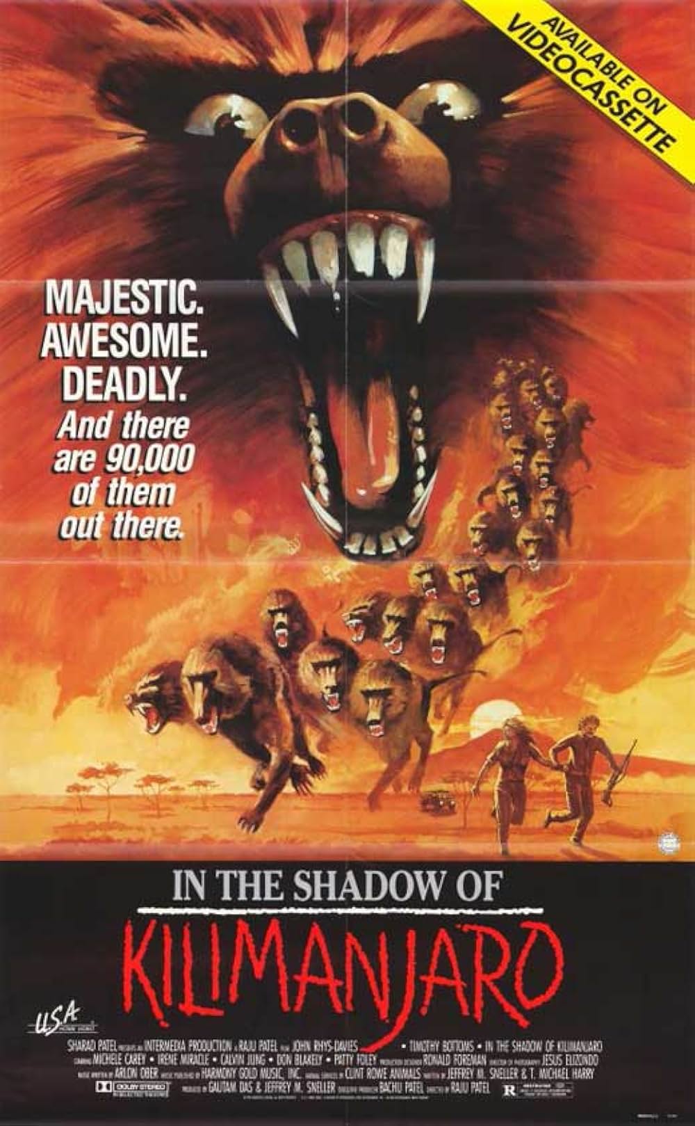 キリマンジャロの悪魔の画像