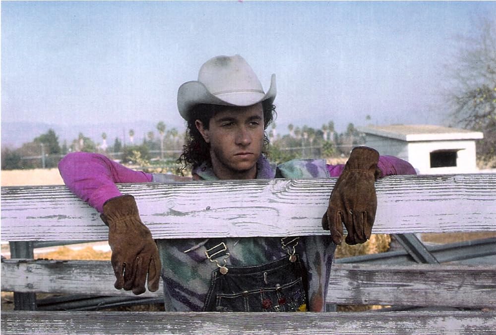 カントリー・ファーム／招かれざる婿！?の画像