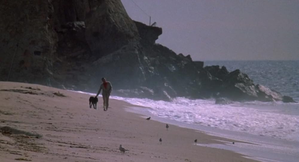 愛のそよ風の画像