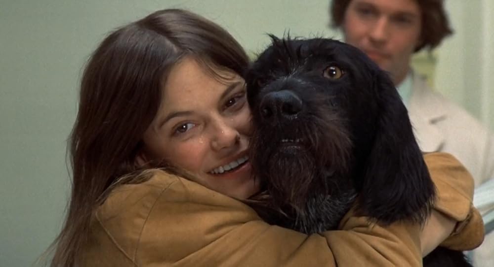 愛のそよ風の画像