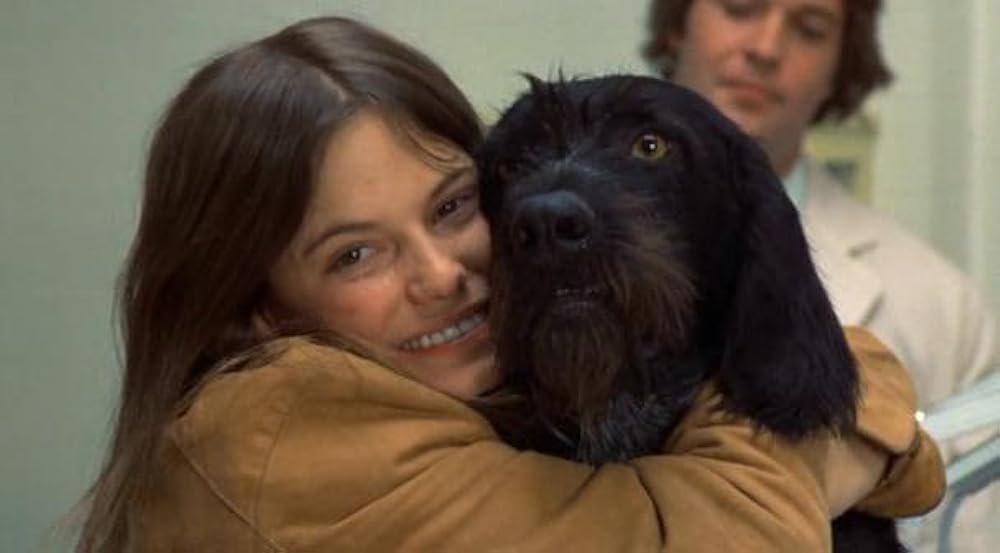 愛のそよ風の画像