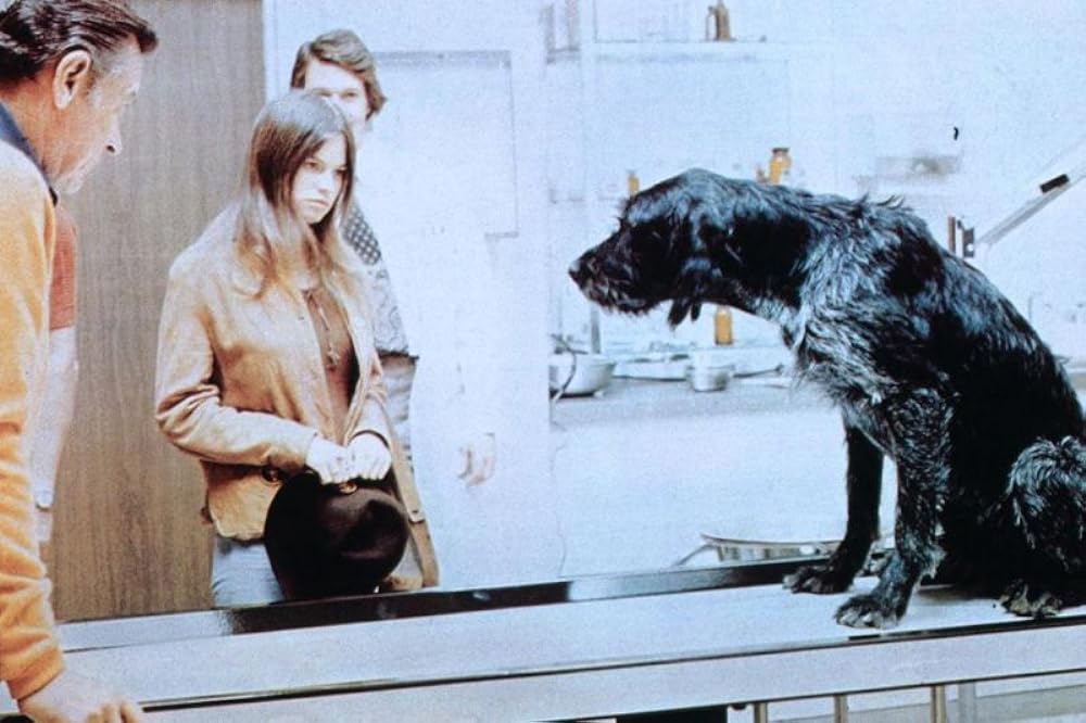 愛のそよ風の画像