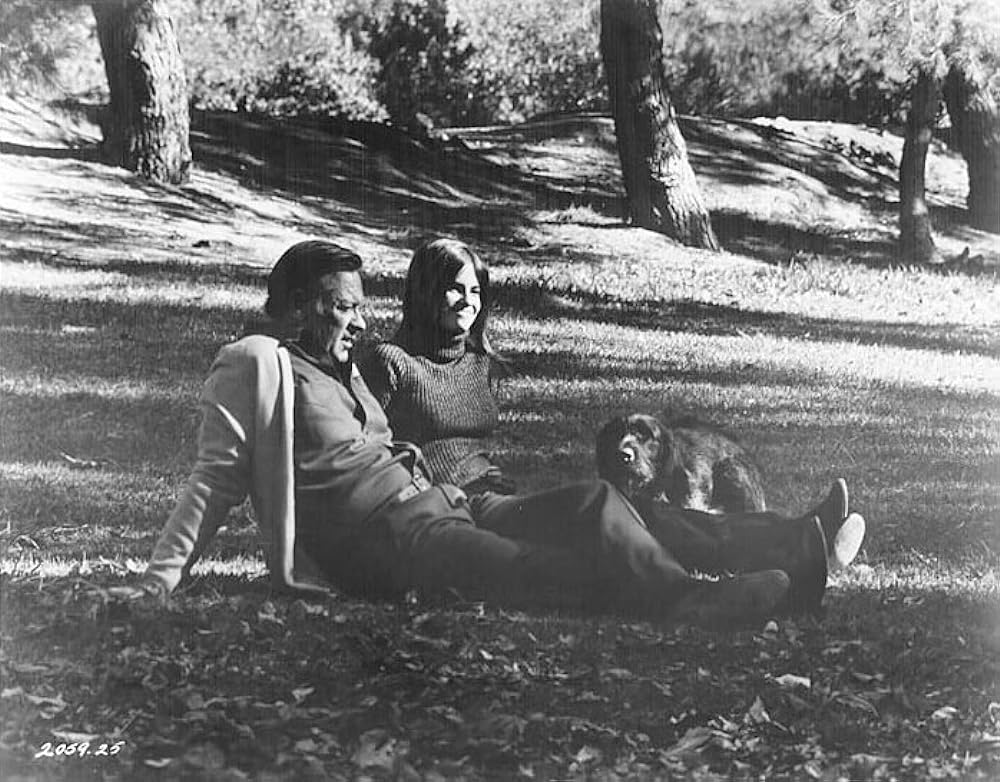 愛のそよ風の画像