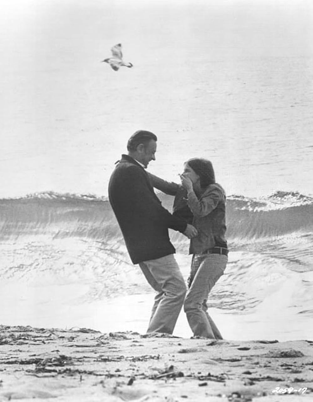 愛のそよ風の画像