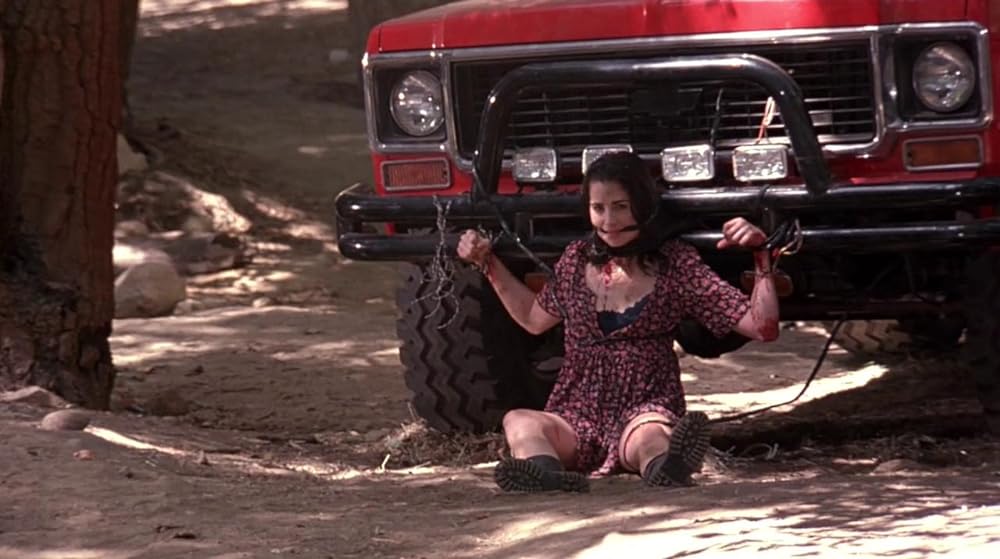 ザ・ハルマゲドン／ワーロック リターンズの画像