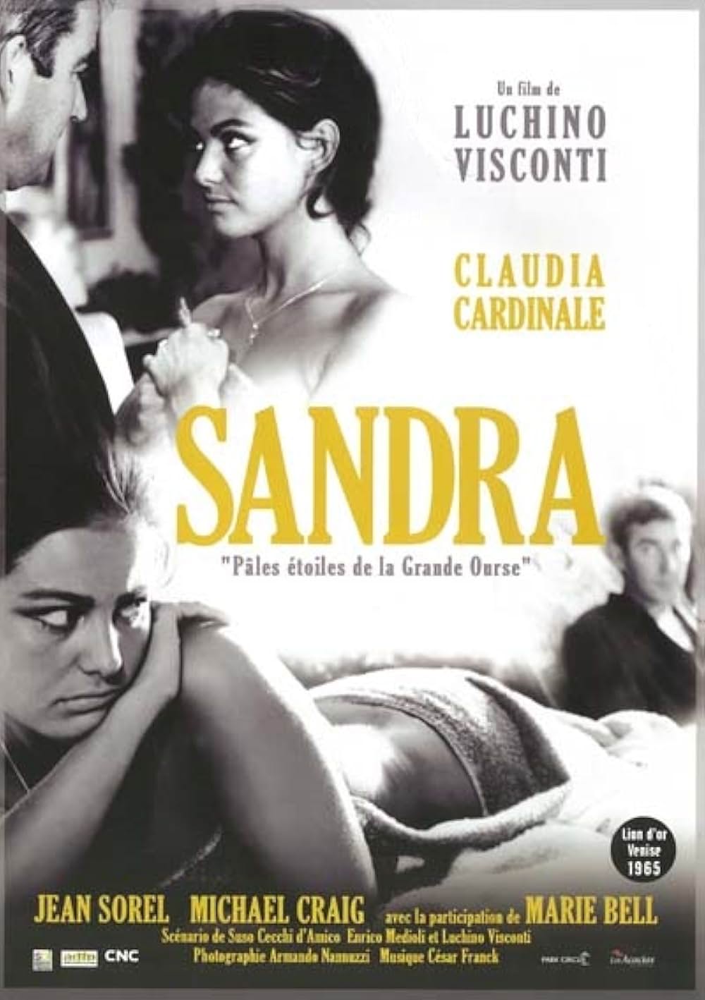 熊座の淡き星影の画像