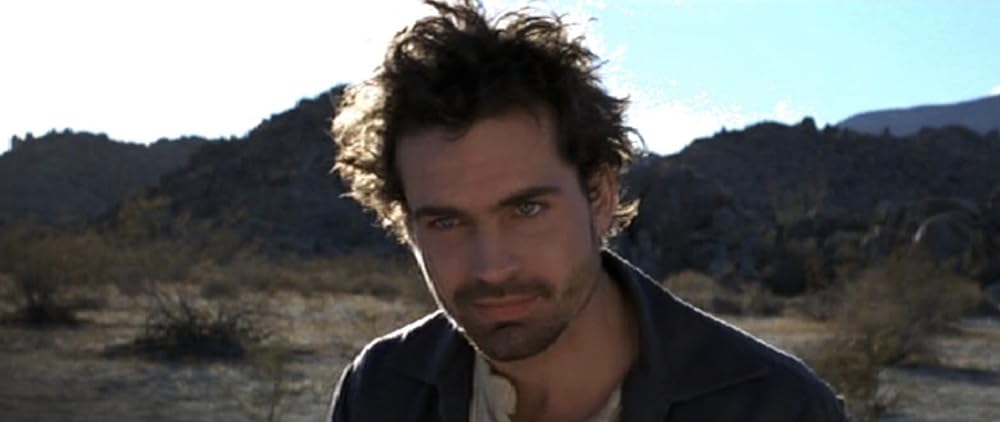 アフター･ダークの画像