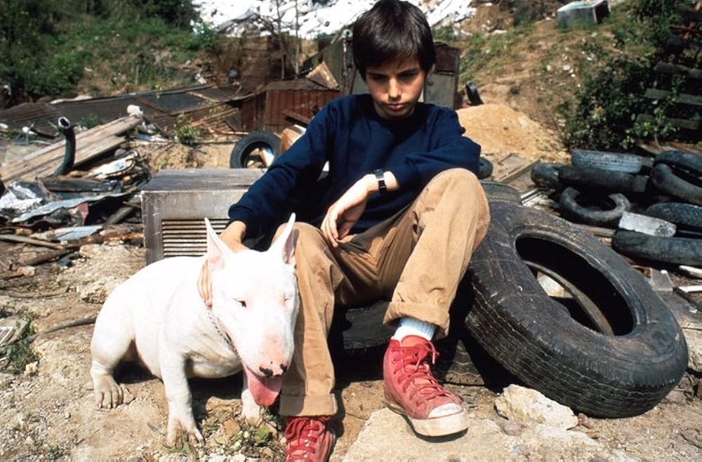 バクステール／ぼくを可愛がってください。さもないと何かが起こります。の画像