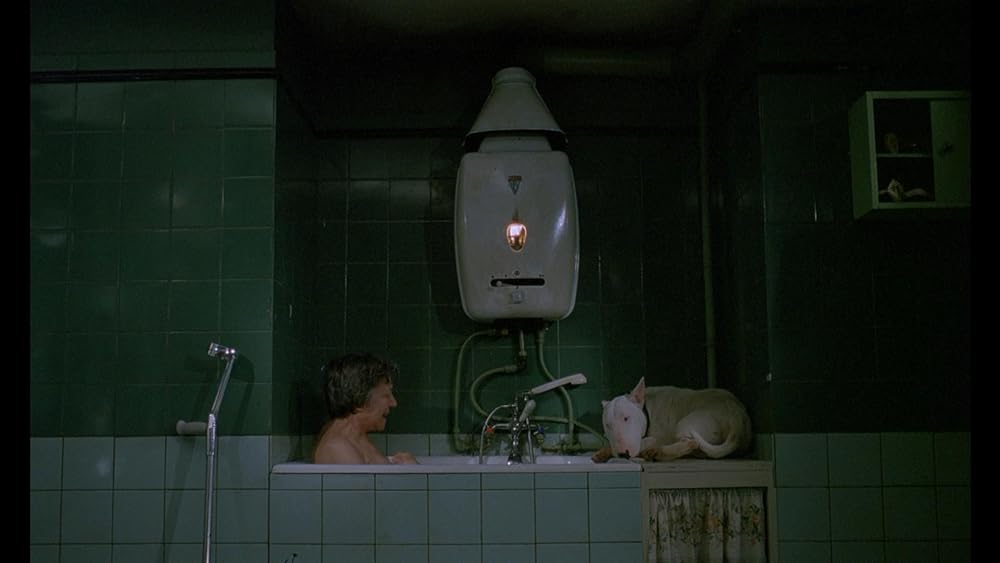 バクステール／ぼくを可愛がってください。さもないと何かが起こります。の画像