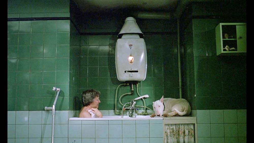 バクステール／ぼくを可愛がってください。さもないと何かが起こります。の画像