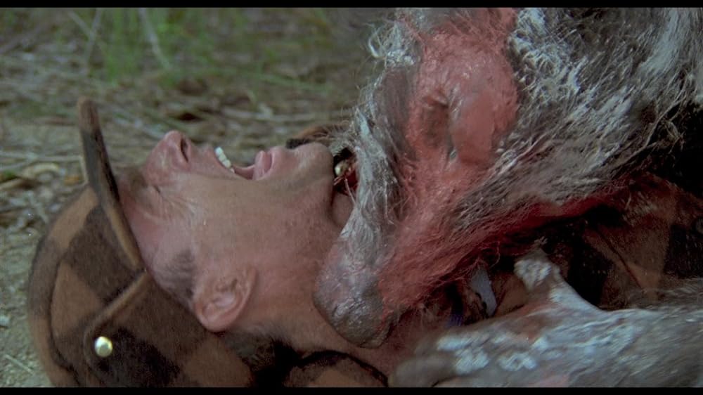 ハウリング IIIの画像