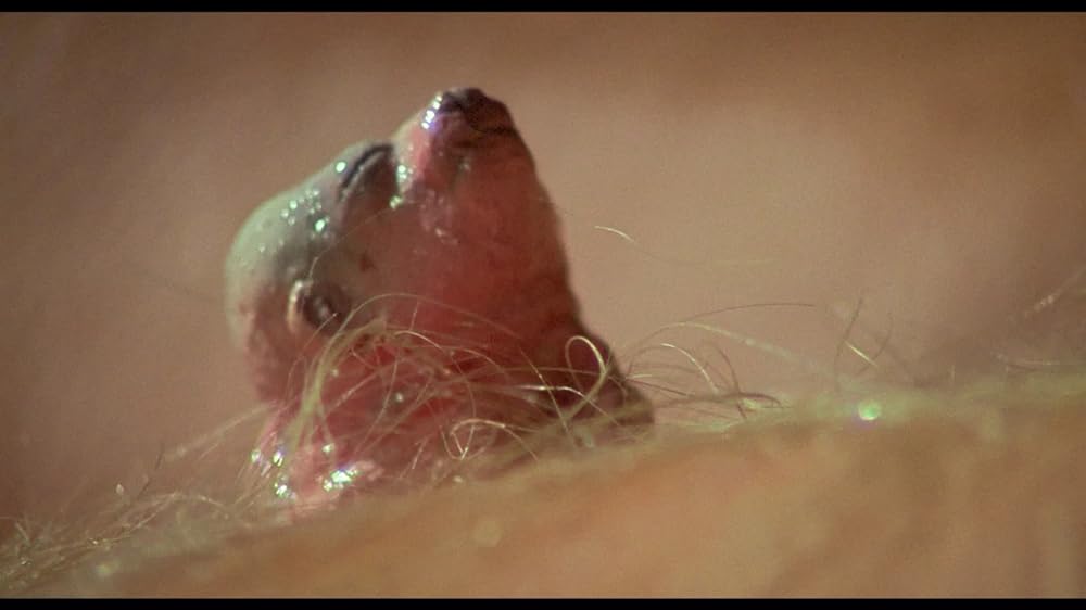 ハウリング IIIの画像