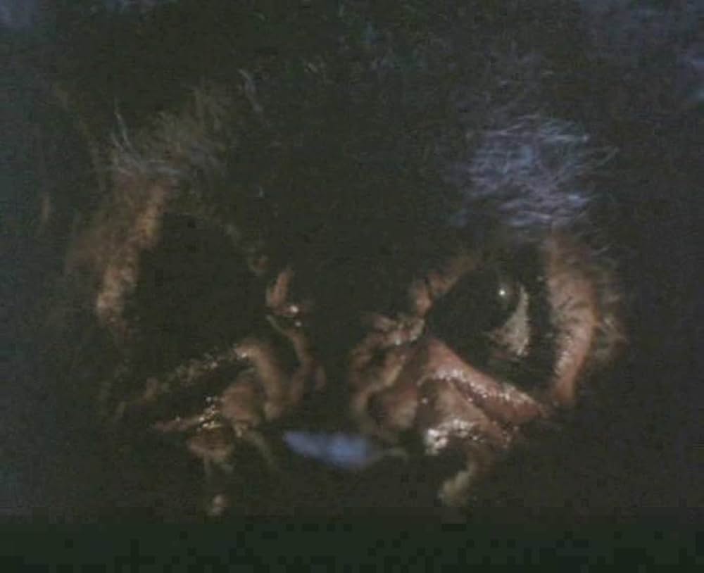 ハウリング V／最後の復活の画像