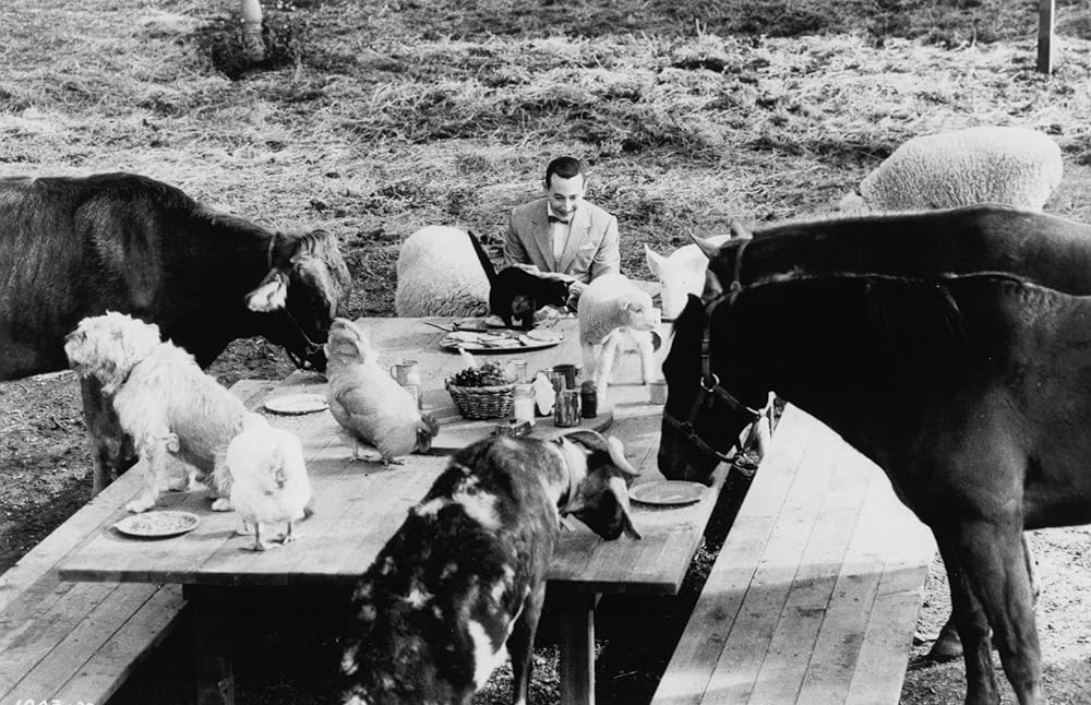 ピーウィー・ハーマンの空飛ぶサーカスの画像